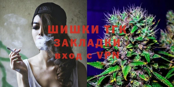 ECSTASY Белокуриха