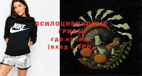 ECSTASY Белокуриха
