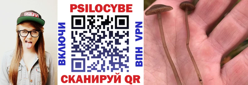 где найти   Кузнецк  Галлюциногенные грибы ЛСД 