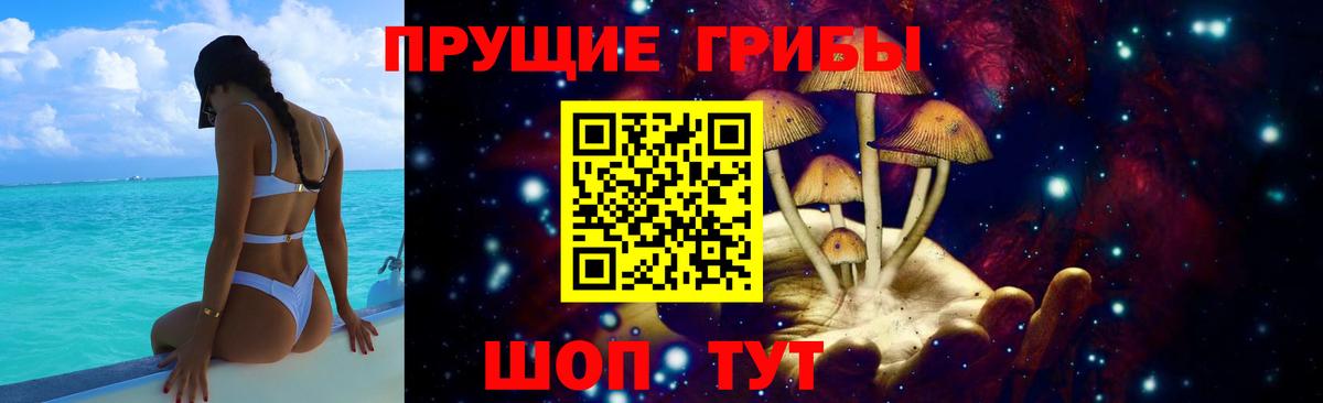 Псилоцибиновые грибы Magic Shrooms  Вход с VPN  Кузнецк 